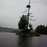 June 29 - River Run to Arnpriar 